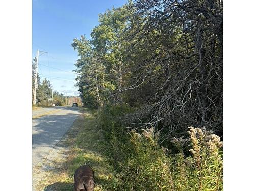 Lot 1 East Petpeswick Road, East Petpeswick, NS 