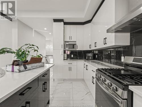 1320 Grand Marais Road East, Windsor, ON - Indoor Photo Showing Kitchen With Upgraded Kitchen