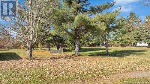 79 Mollins Road, Colpitts Settlement, NB - Outdoor With View