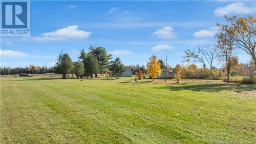 79 Mollins Road, Colpitts Settlement, NB - Outdoor With View