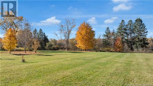 79 Mollins Road, Colpitts Settlement, NB - Outdoor With View