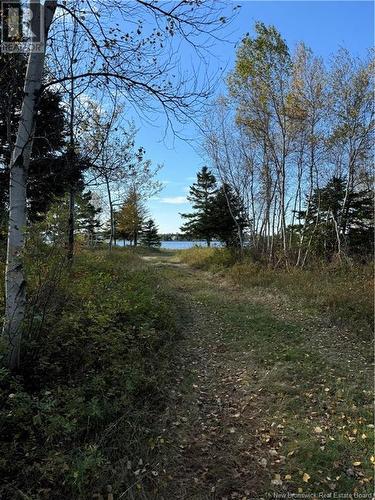 Lot 2005-1 Sonier Road, Tracadie, NB 