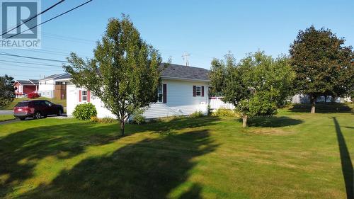 76 High Street, Deer Lake, NL - Outdoor