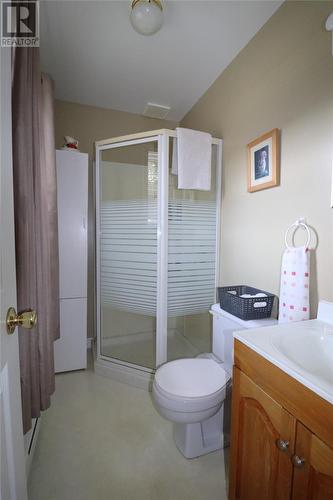 76 High Street, Deer Lake, NL - Indoor Photo Showing Bathroom