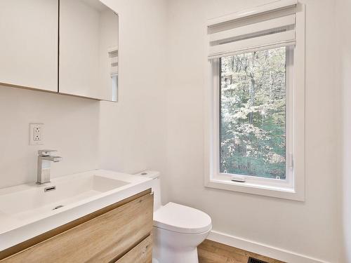 Salle d'eau - 217 Rue Des Pinsons, Magog, QC - Indoor Photo Showing Bathroom