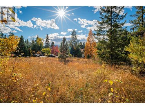 Lot 4 Sandner Frontage Road, Christina Lake, BC 