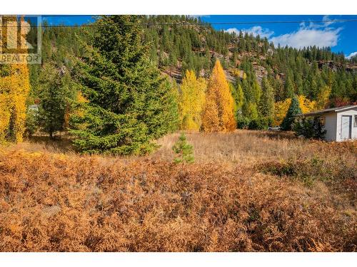 Lot 4 Sandner Frontage Road, Christina Lake, BC 