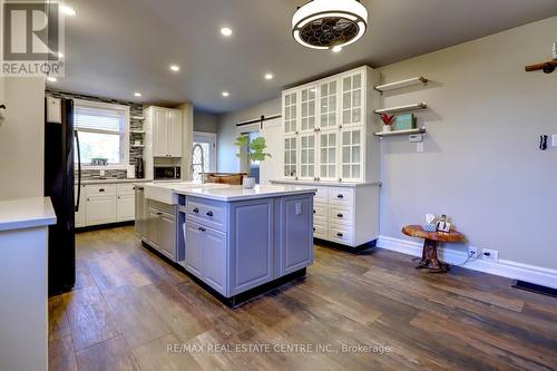 20 Victoria Avenue, Halton Hills, ON - Indoor Photo Showing Kitchen