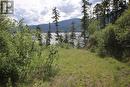 Lot B 23 Highway, Nakusp, BC 