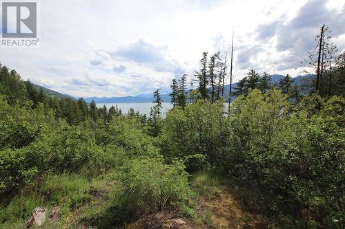 Lot B 23 Highway, Nakusp, BC 