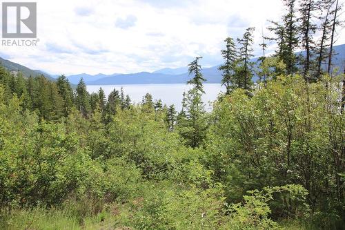 Lot B 23 Highway, Nakusp, BC 