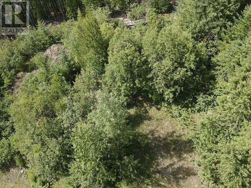 Lot B 23 Highway, Nakusp, BC 