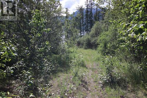 Lot B 23 Highway, Nakusp, BC 