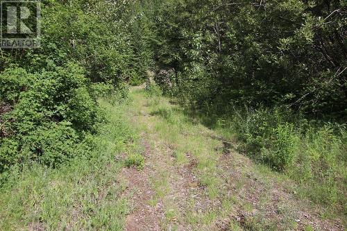 Lot B 23 Highway, Nakusp, BC 