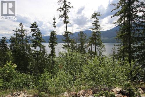 Lot B 23 Highway, Nakusp, BC 