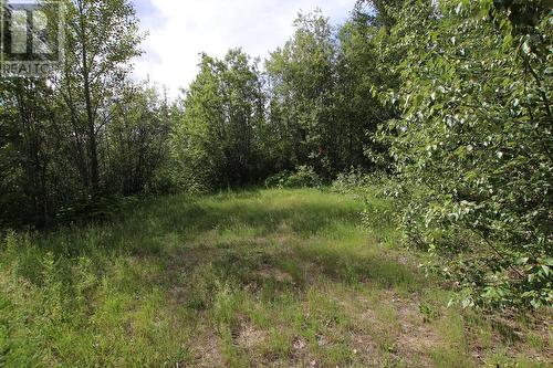 Lot B 23 Highway, Nakusp, BC 