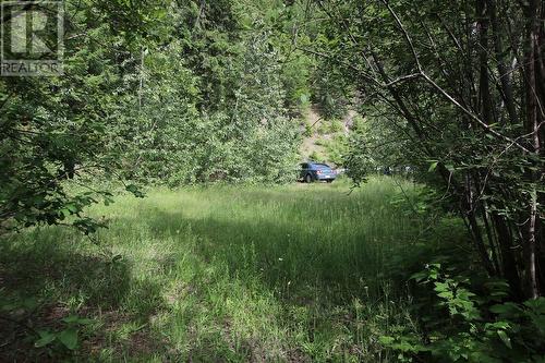 Lot B 23 Highway, Nakusp, BC 