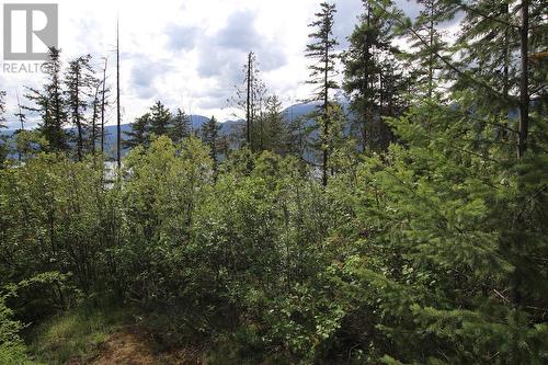 Lot B 23 Highway, Nakusp, BC 