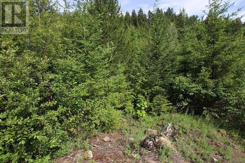 Lot B 23 Highway, Nakusp, BC 