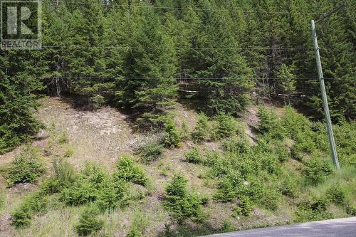 Lot B 23 Highway, Nakusp, BC 