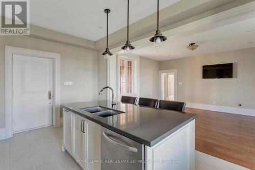 17225 Hwy 27, King, ON - Indoor Photo Showing Kitchen With Double Sink With Upgraded Kitchen