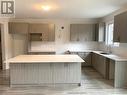 61 Bud Leggett Crescent, Georgina, ON  - Indoor Photo Showing Kitchen With Double Sink 