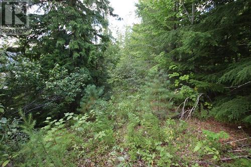 5621 23 Highway, Nakusp, BC 