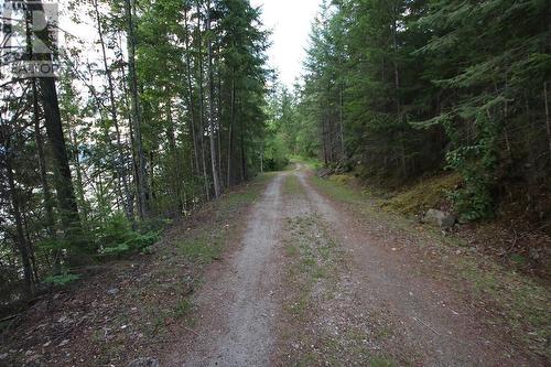 5621 23 Highway, Nakusp, BC 