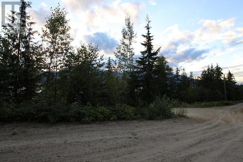 5621 23 Highway, Nakusp, BC 