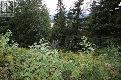 5621 23 Highway, Nakusp, BC 