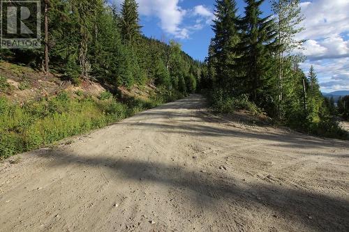 5621 23 Highway, Nakusp, BC 