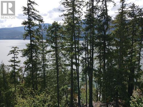 5959 23 Highway, Nakusp, BC 