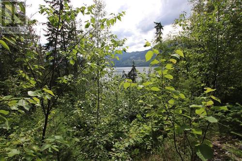 5959 23 Highway, Nakusp, BC 