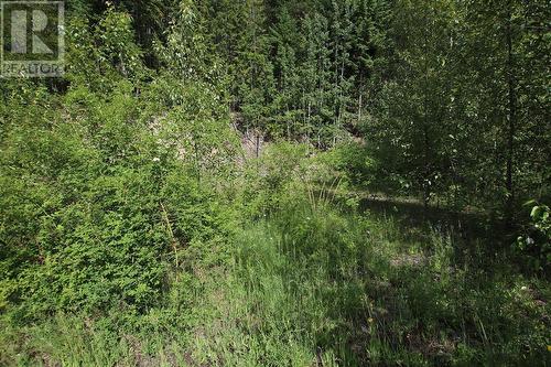 5959 23 Highway, Nakusp, BC 