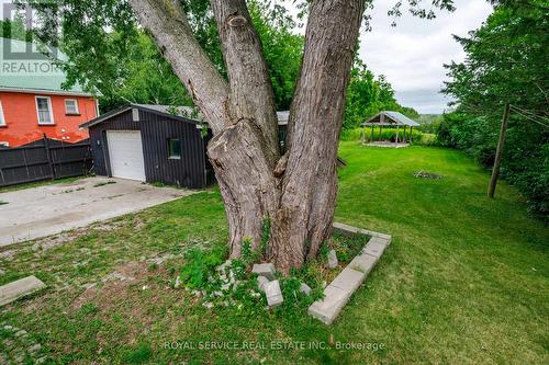 3991 Wallace Point Road, Otonabee-South Monaghan, ON - Outdoor