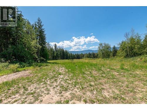 3461 30 Street Ne, Salmon Arm, BC - Outdoor With View