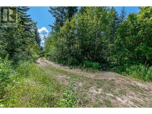 3461 30 Street Ne, Salmon Arm, BC - Outdoor