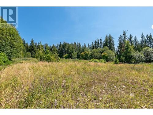 3461 30 Street Ne, Salmon Arm, BC - Outdoor With View