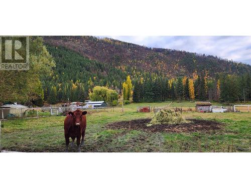 467 Rawlings Lake Road, Lumby, BC - Outdoor With View