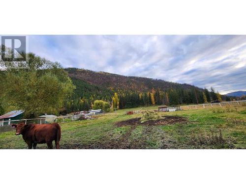 467 Rawlings Lake Road, Lumby, BC - Outdoor With View