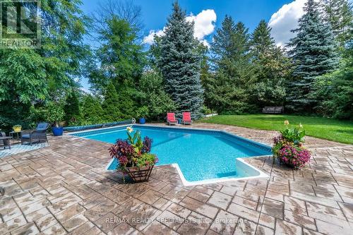 1773 Melody Drive, Mississauga, ON - Outdoor With In Ground Pool With Backyard