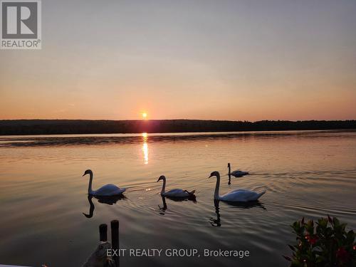 1081 Frankford-Stirling Road, Quinte West, ON - Outdoor With Body Of Water With View