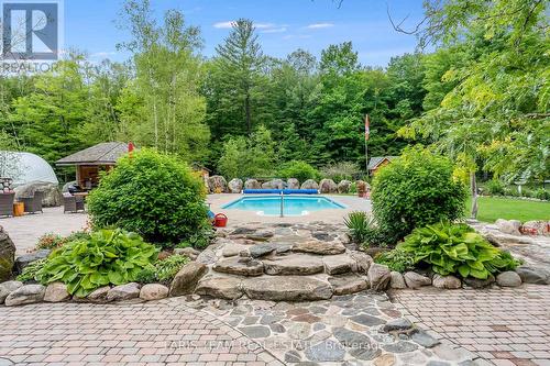 697 Lafontaine Road E, Tiny, ON - Outdoor With In Ground Pool With Backyard