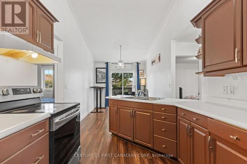 38 St. Michael'S Street, Norfolk (Delhi), ON - Indoor Photo Showing Kitchen With Double Sink