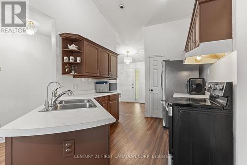 38 St. Michael'S Street, Norfolk (Delhi), ON - Indoor Photo Showing Kitchen With Double Sink