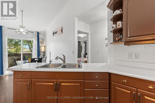 38 St. Michael'S Street, Norfolk (Delhi), ON - Indoor Photo Showing Kitchen With Double Sink