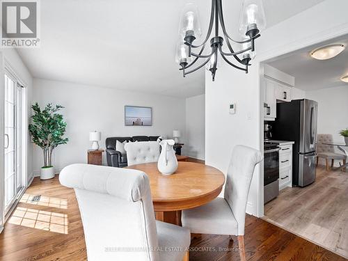 13 Cashel Street, Brampton, ON - Indoor Photo Showing Dining Room