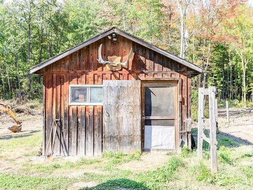 Backyard - 136 Rue Jimmy, Sainte-Sophie, QC 