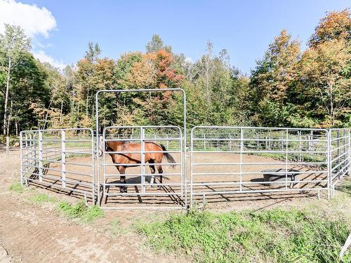 Stable - 136 Rue Jimmy, Sainte-Sophie, QC 