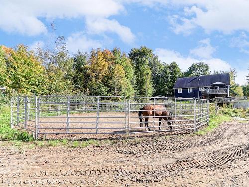 Stable - 136 Rue Jimmy, Sainte-Sophie, QC 